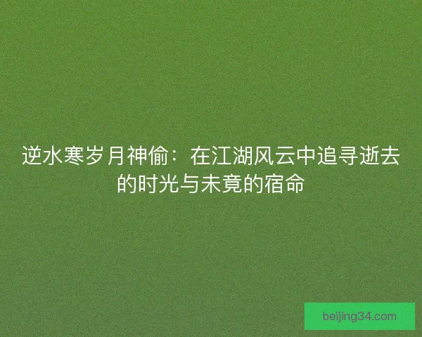 逆水寒岁月神偷:在江湖风云中追寻逝去的时光与未竟的宿命 逆水寒岁月神偷:在江湖风云中追寻逝去的时光与未竟的宿命